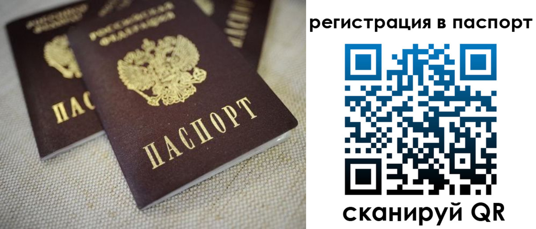 прописка гарантия в Краснодарском крае